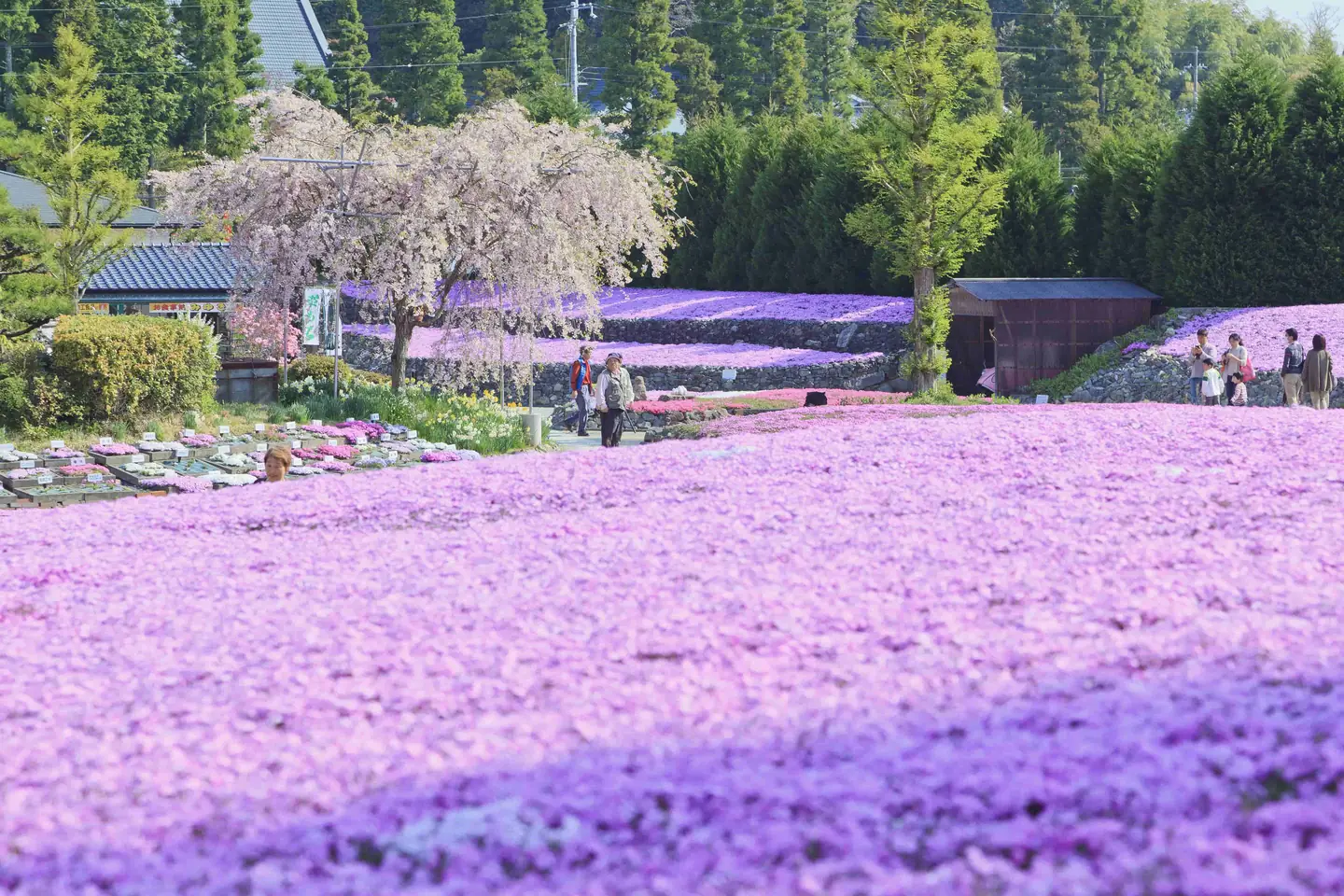 当時のメディア報道・掲載写真