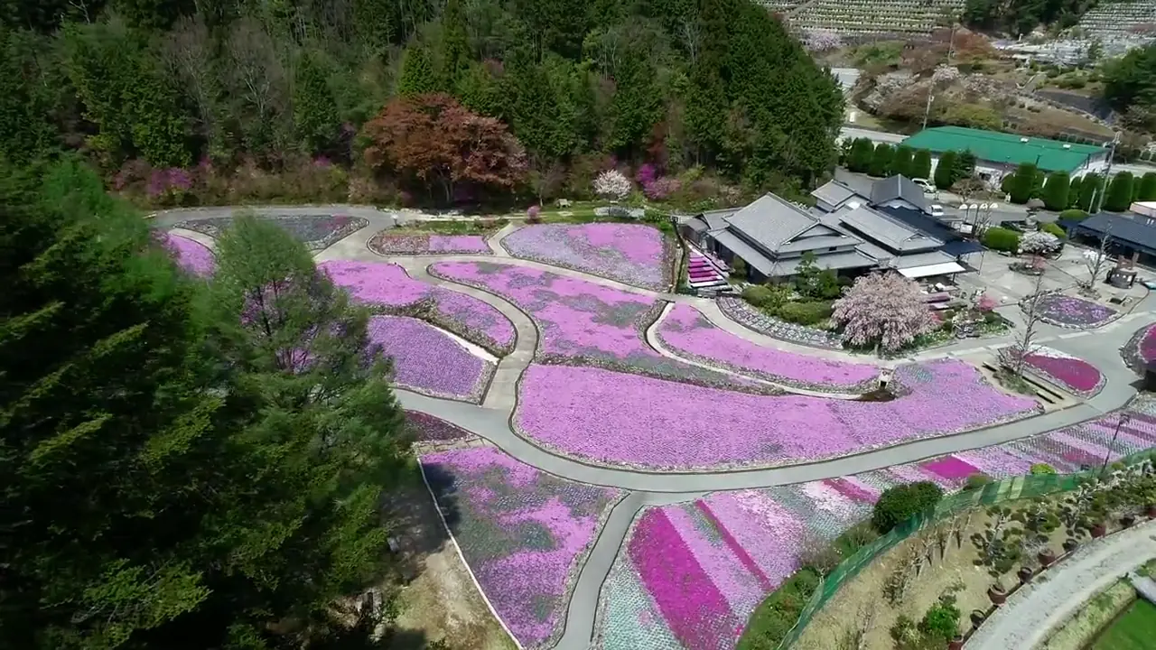 花 の じゅうたん